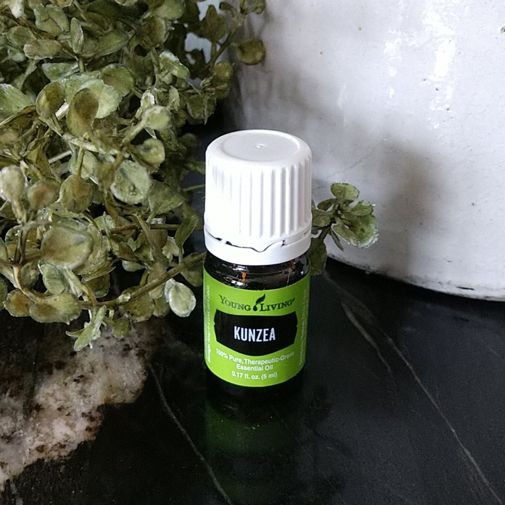 Yl oil Kunzea